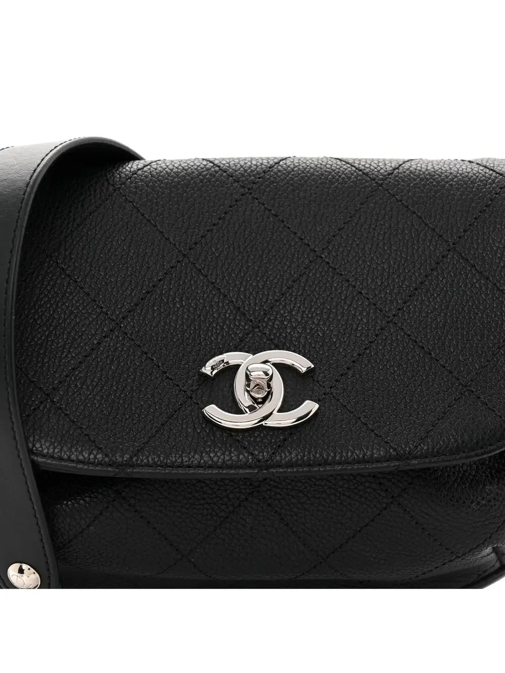 Chanel Calfskin Quilted Jungle Stroll #307297C34B